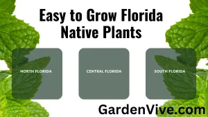 Easy to Grow Florida Native Plants