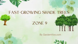 Fast Growing Shade Trees for Zone 9