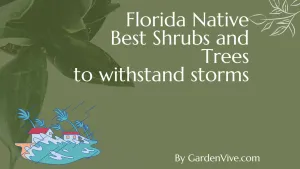 Florida Native Best Shrubs and Trees to withstand storms