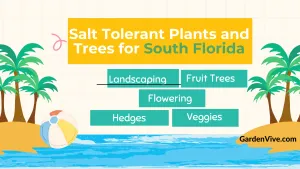 Salt Tolerant Plants for South Florida