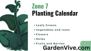 Zone 7 Planting Schedule