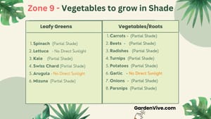 Vegetables to grow in shade in Zone 9