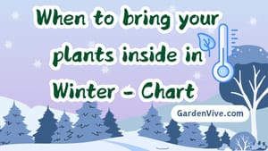 When to bring plants inside in Winter - Chart 