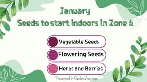 Seeds to start indoors in January in Zone 6