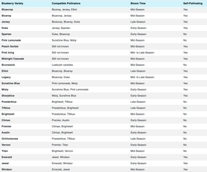 Blueberry Cross Pollination Chart
