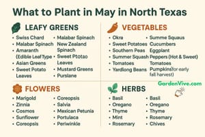 What to Plant in May in North Texas