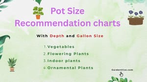 Pot Size Chart for Plants