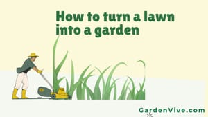 How to turn lawn into garden