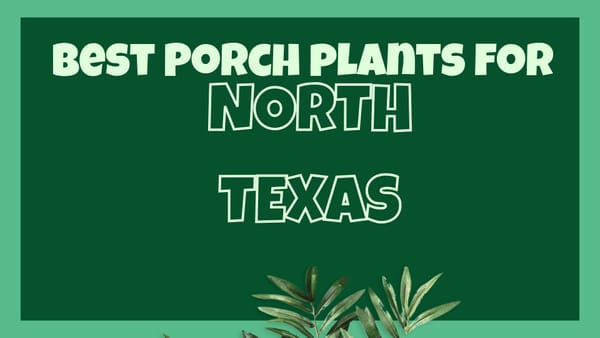 North Texas Planting Calendar Total Guide