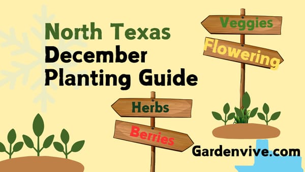 North Texas Planting Calendar Total Guide