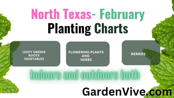 North Texas Planting Calendar Total Guide